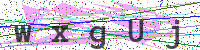 Enter Security Code