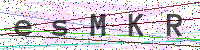 Sicherheitscode eingeben