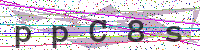 Enter Security Code