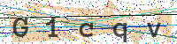 Enter Security Code