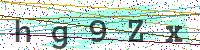 Enter Security Code