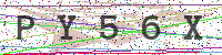Enter Security Code