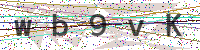 Enter Security Code