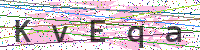 Enter Security Code