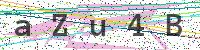 Enter Security Code