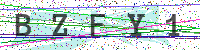 Enter Security Code