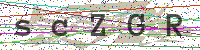 Enter Security Code
