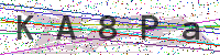 Enter Security Code