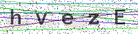 Enter Security Code