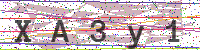 Enter Security Code