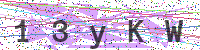 Enter Security Code