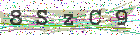 Enter Security Code